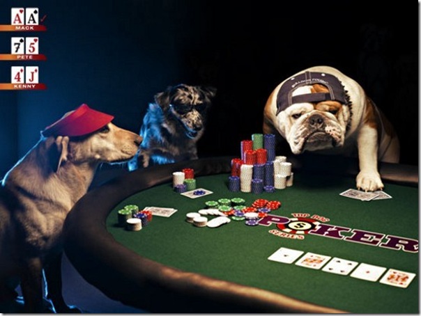 Lisa lampanelli casino ballroom Tricks to online blackjack